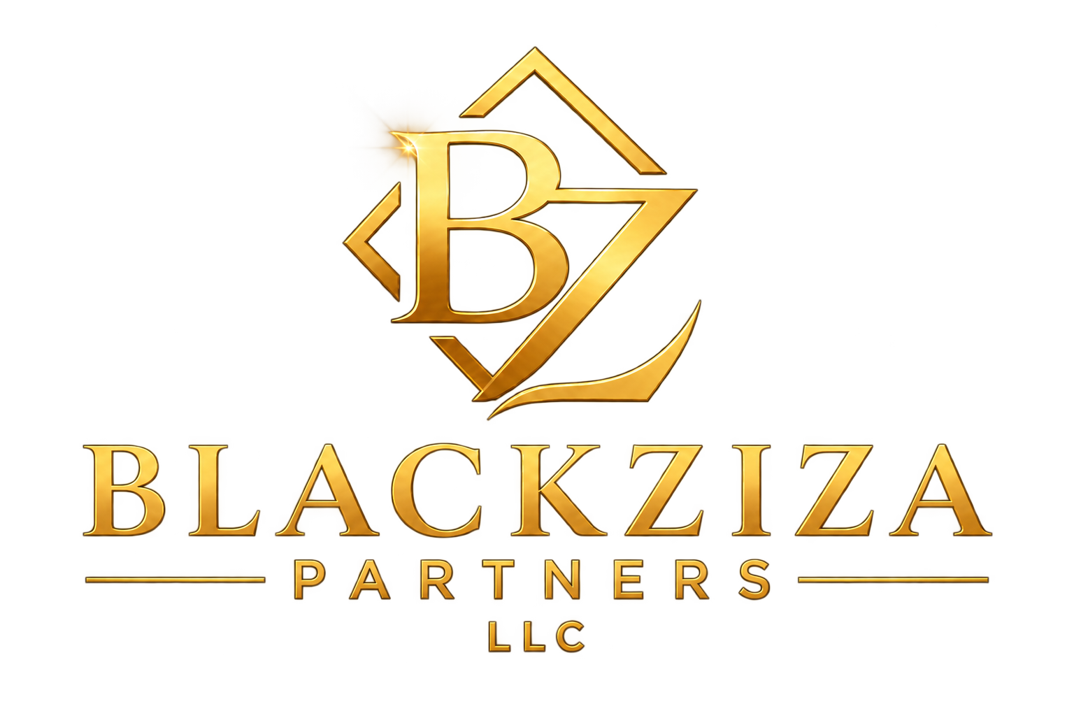 BlackZiza Partners LLC